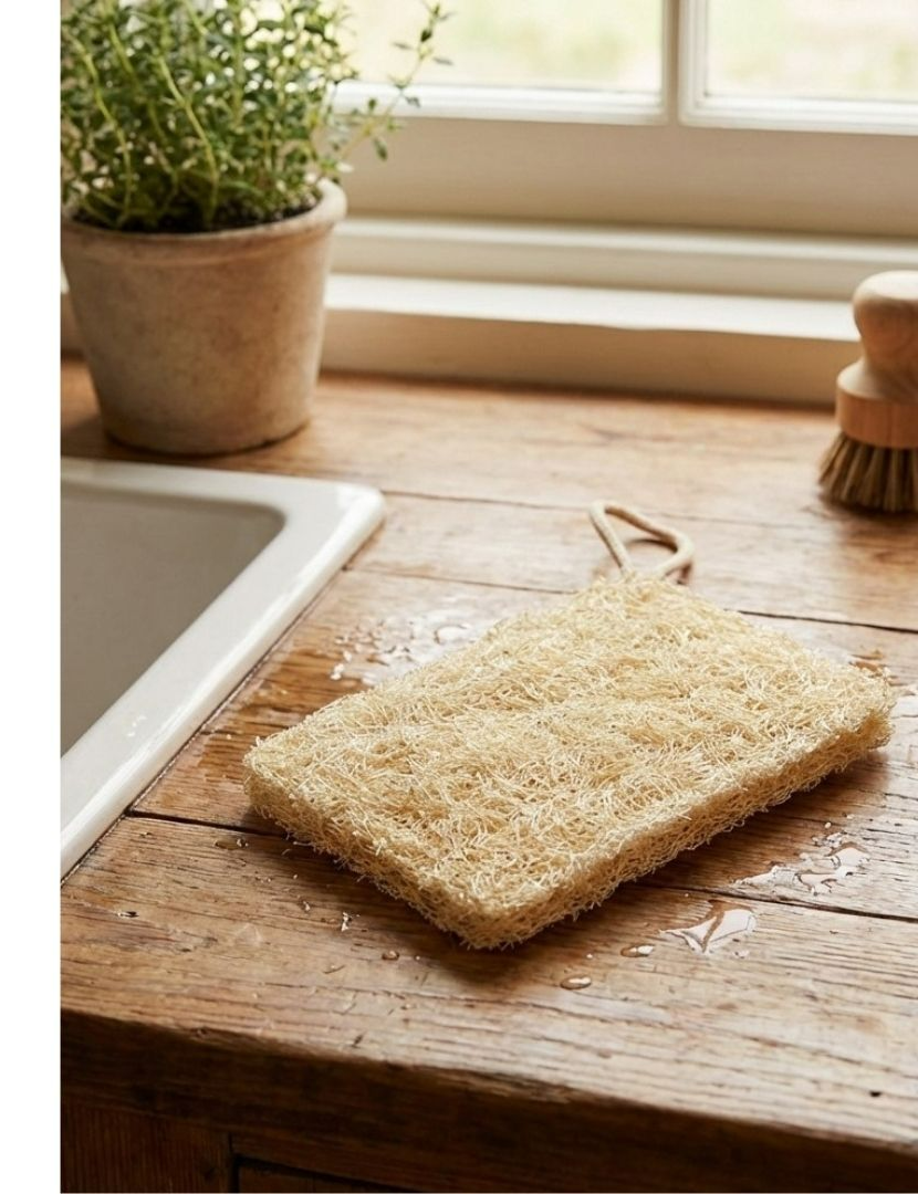 Rectangular Dish Sponge